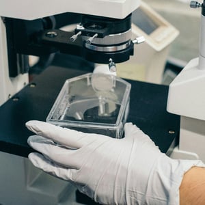 investigacion