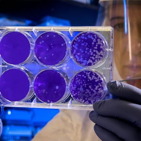lab-science