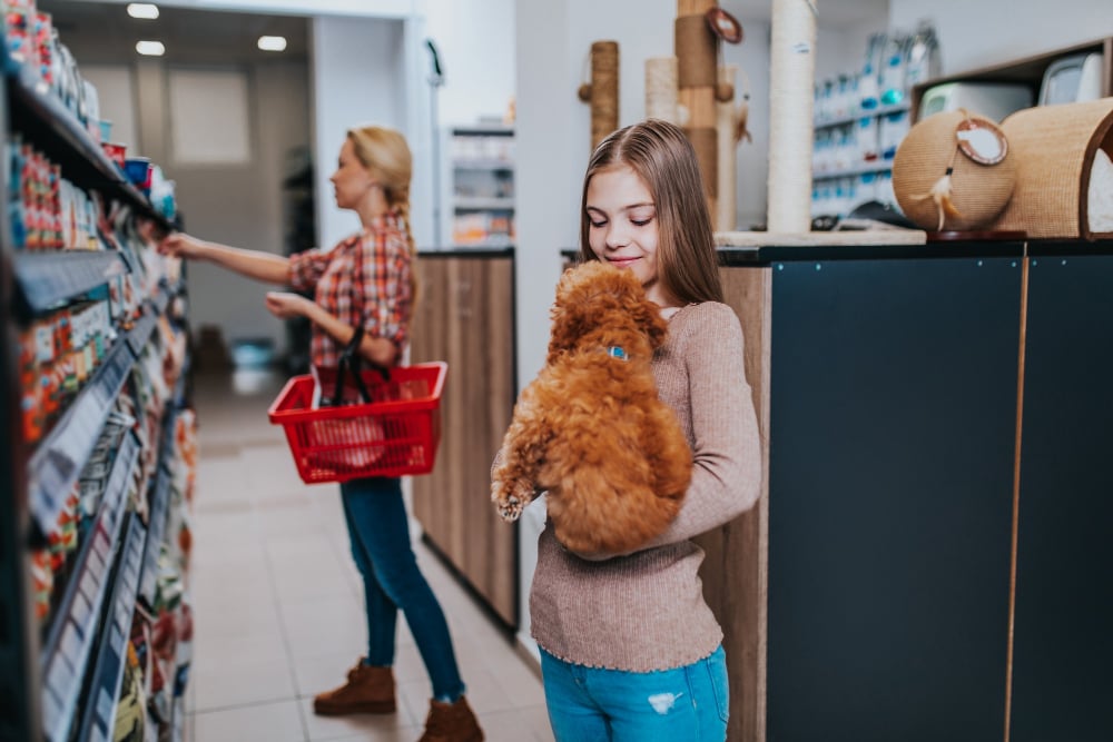Comercialización en la industria veterinaria: cómo Animal Data source (ADS) aumenta la eficiencia del sell out